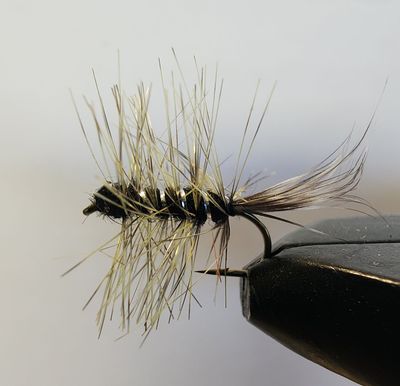 Wooly Gnat (Chartreuse)