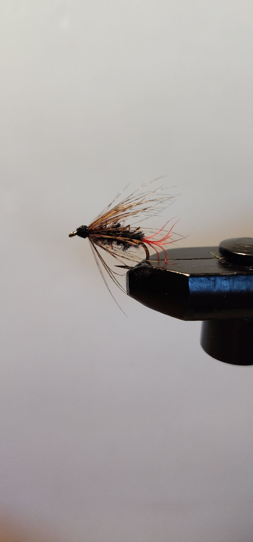 Soft Hackle Copper Caddis