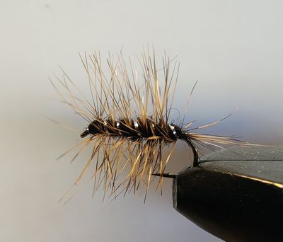 Wooly Gnat (Orange/Black)