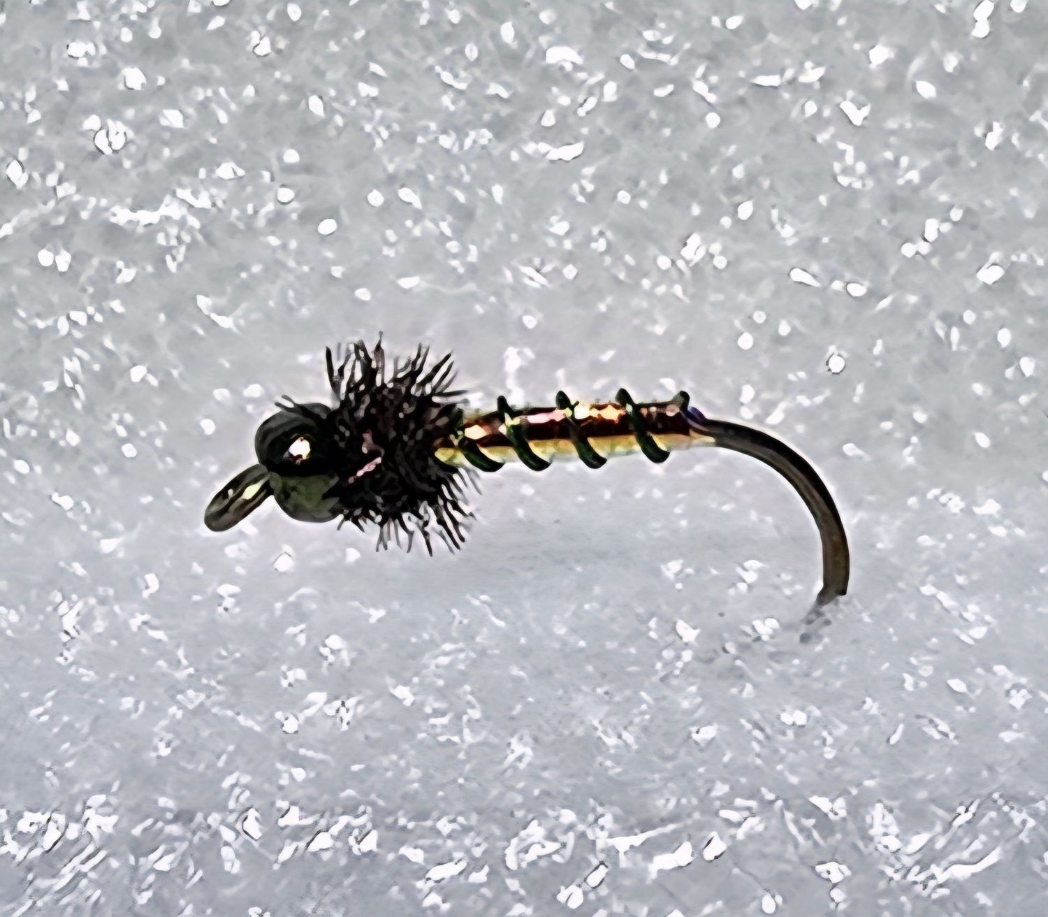 Peacock Midge