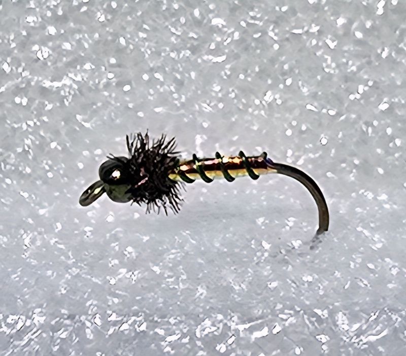 Peacock Midge