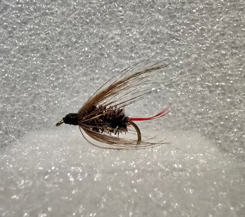 Soft Hackle Copper Caddis