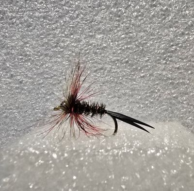 Wooly Bugger Adams