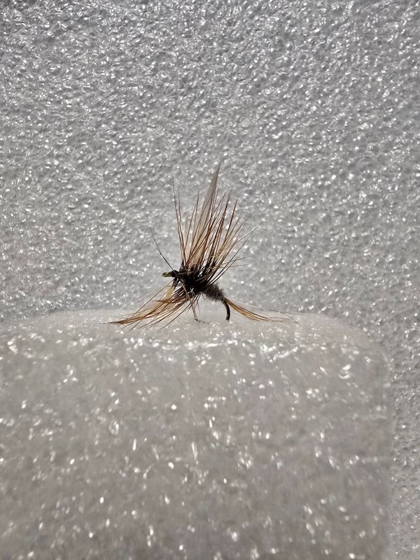 Rooster Furnace Adams