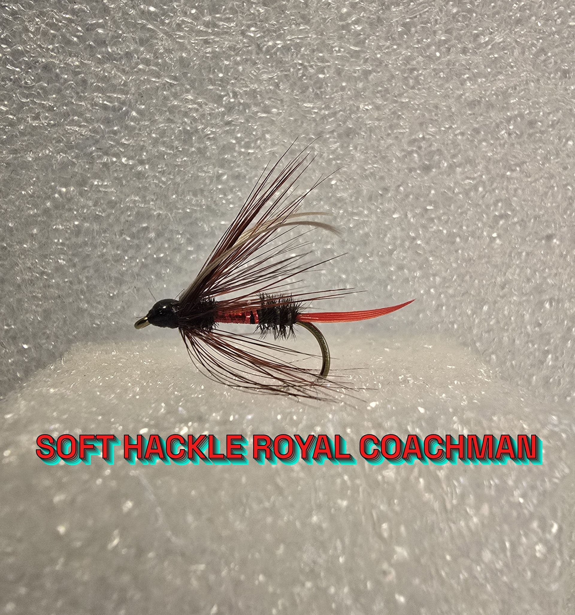 Soft Hackle Royal Coachman