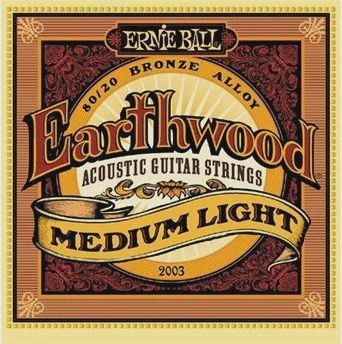 Ernie Ball Earthwood Medium Light