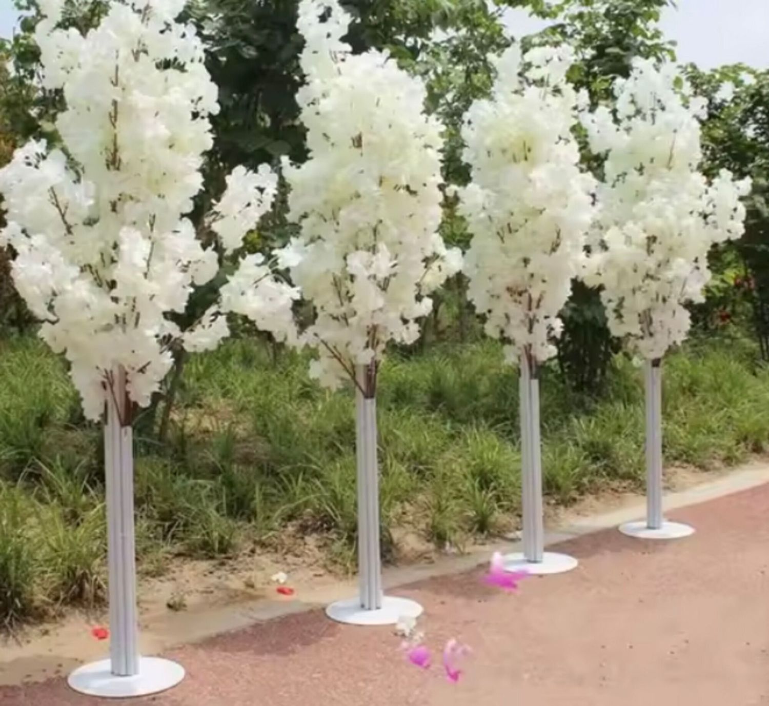 Cherry Blossom Trees