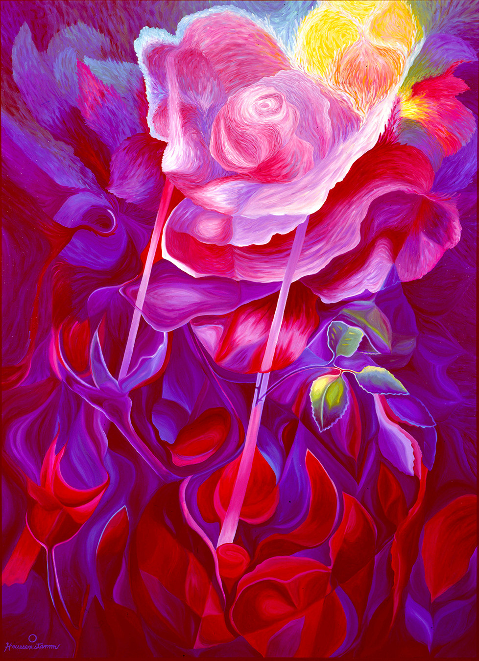 Rose of War