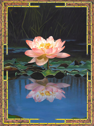 Pink/White Lotus