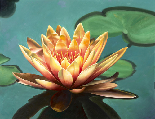 Lotus on Green Water