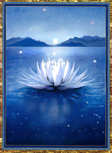 The Gift White Lotus