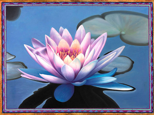Light Violet Blue Lotus