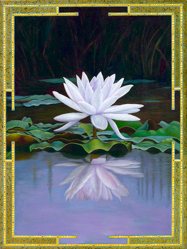Violet Lotus