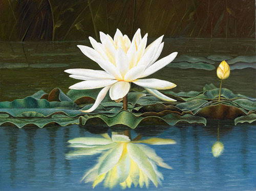 Lotus Pond 1