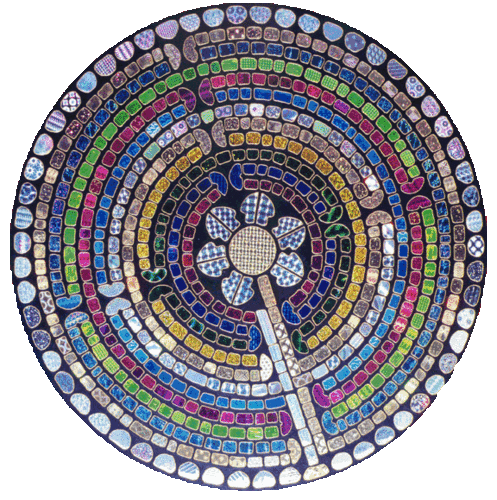 Chartre Black Holograms Round