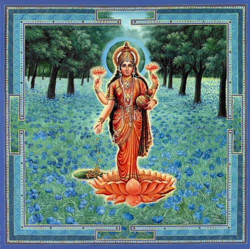 Lakshmi Orange Blue Poppies