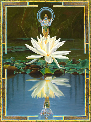 Krishna Lotus