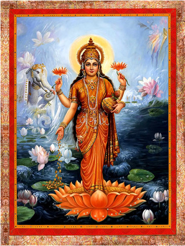 Lakshmi Orange