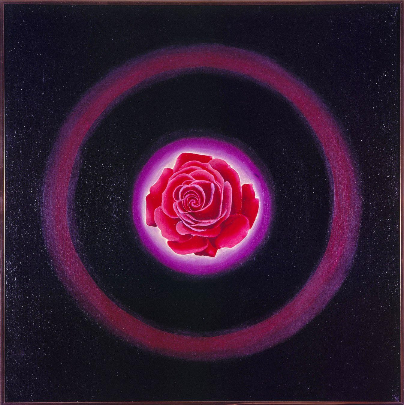 Rose Aura