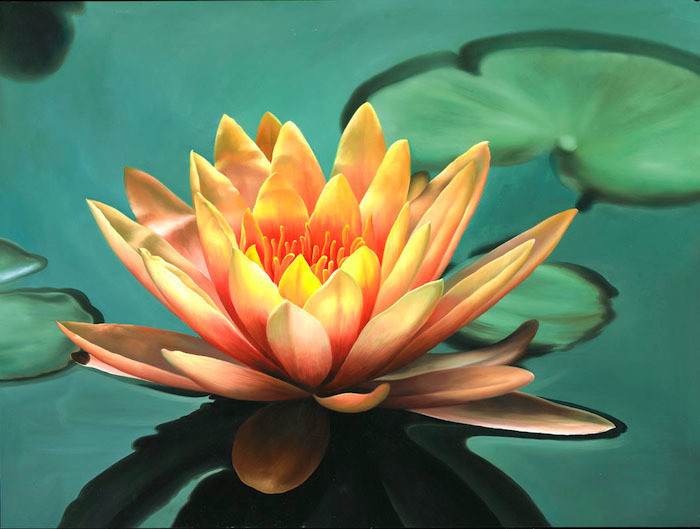 Healing Lotus