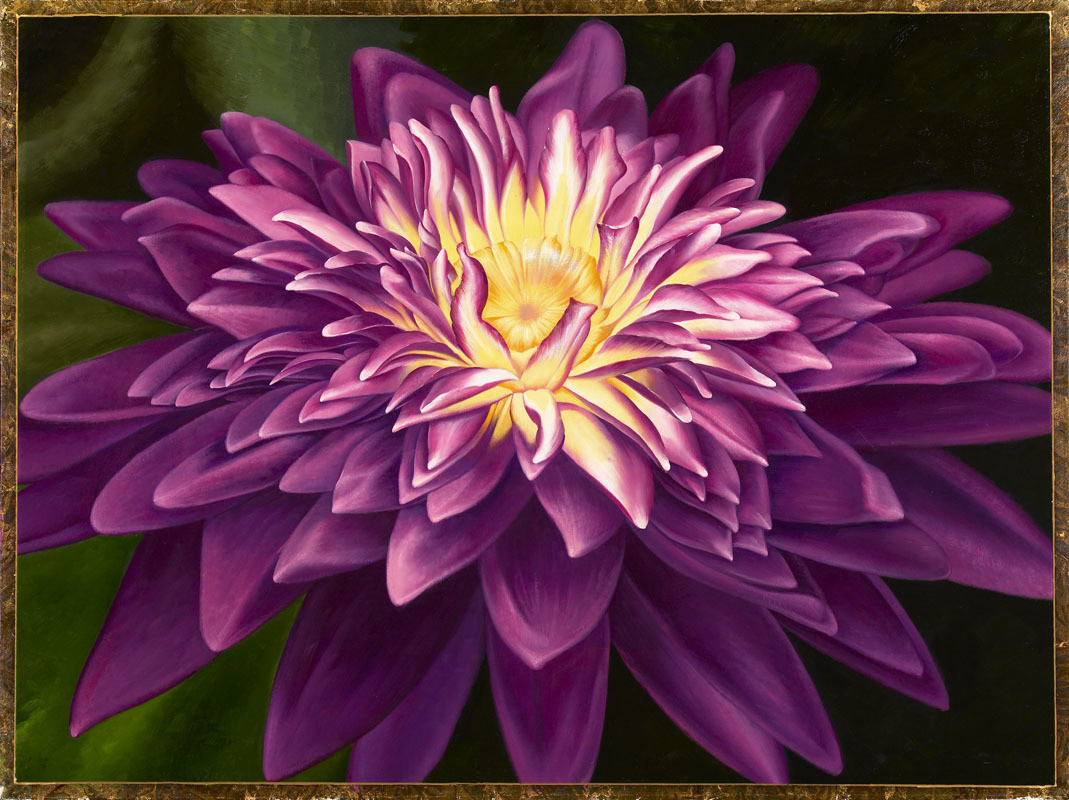 Magenta Lotus