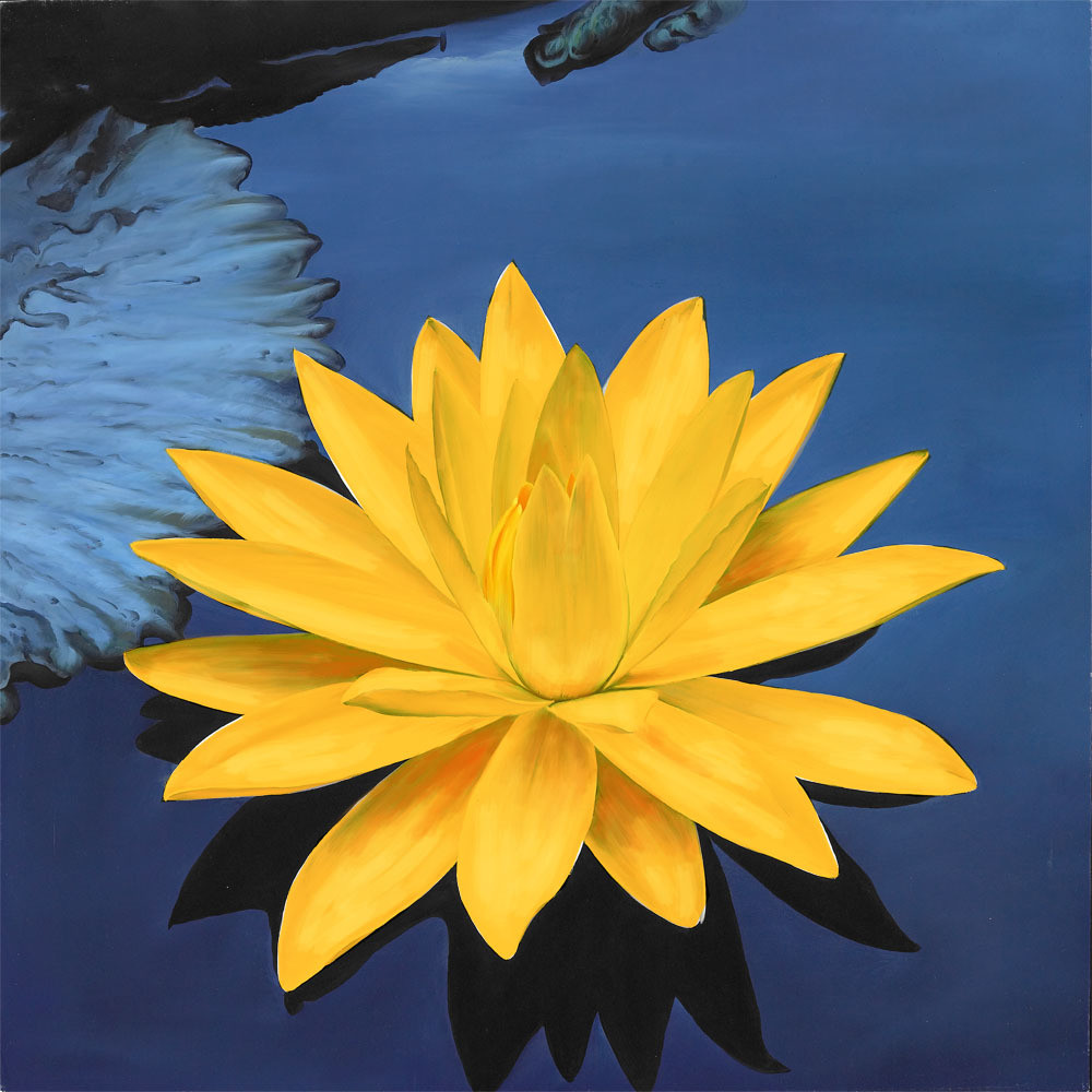 Orange Lotus on Blue Water