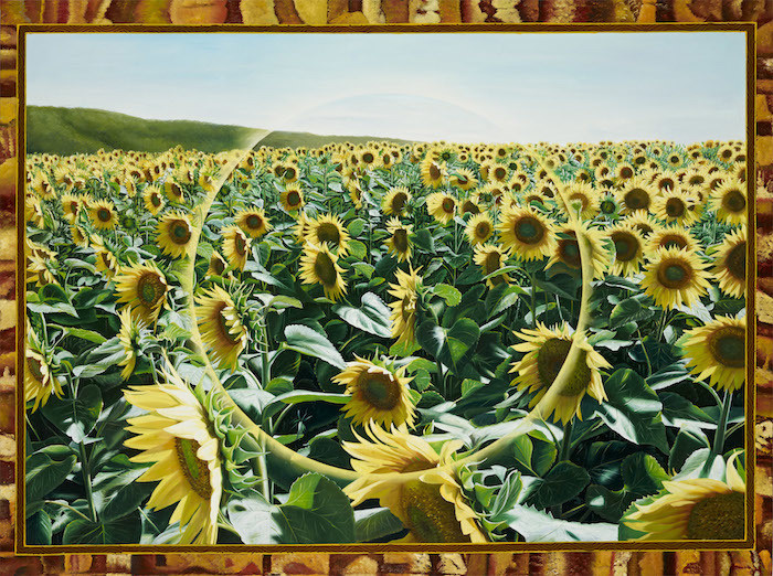 Sunflower Field Cirlce
