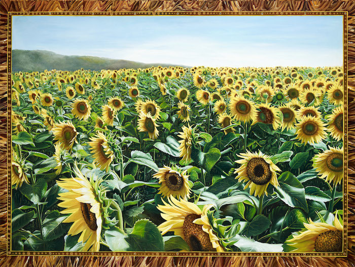 Sunflower Field