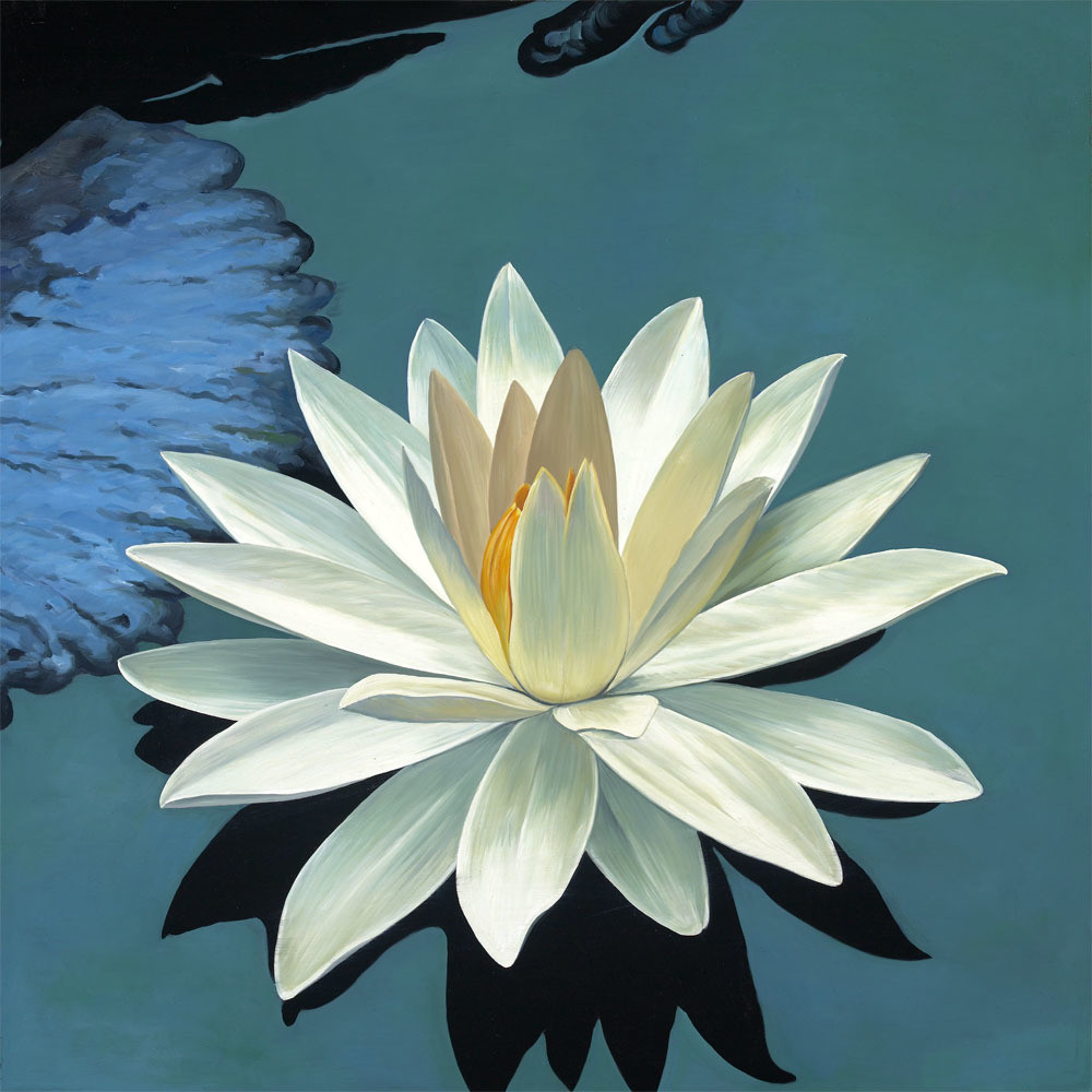 White Lotus on Turquoise Water