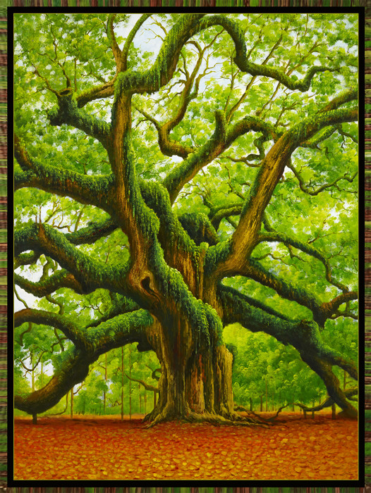 Wisdom Tree
