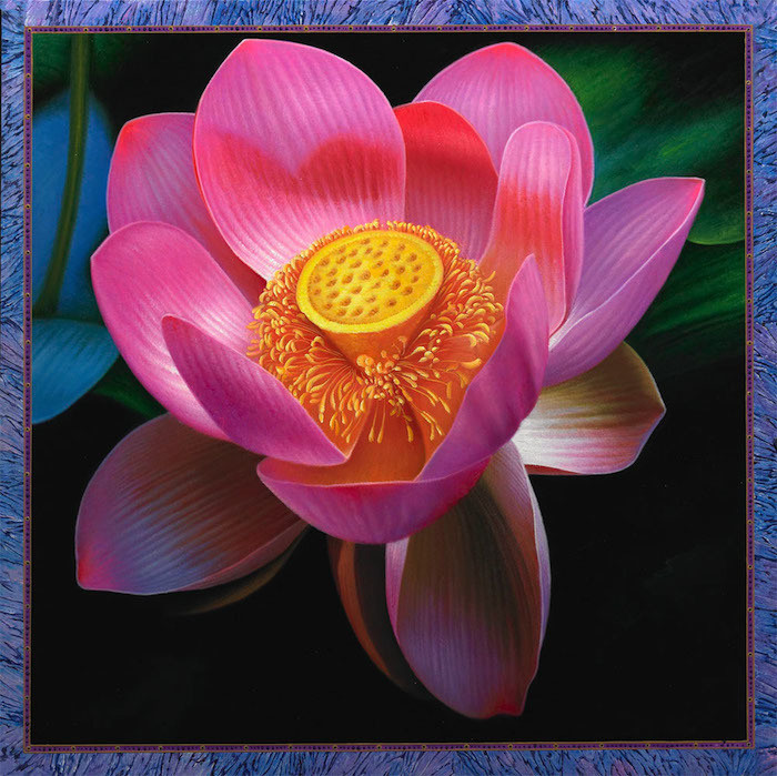 Bright Pink Lotus