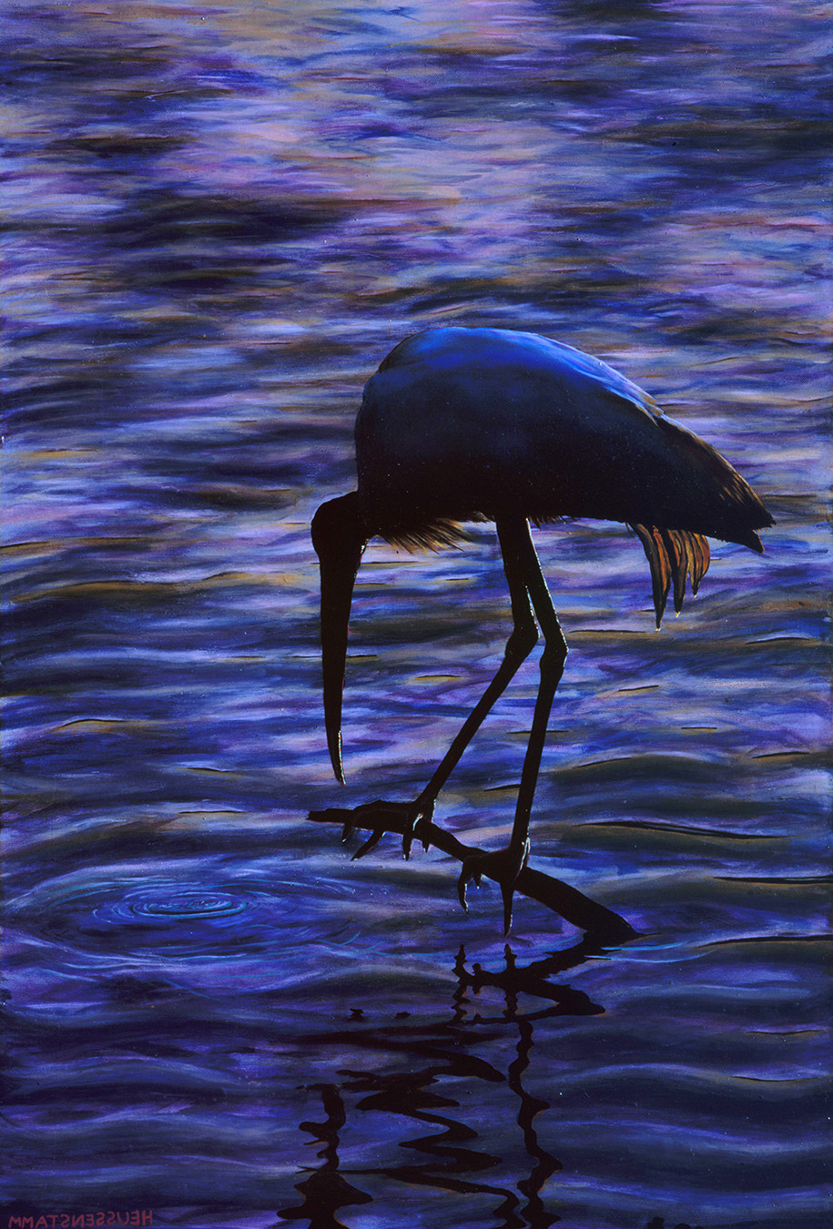 Ibis