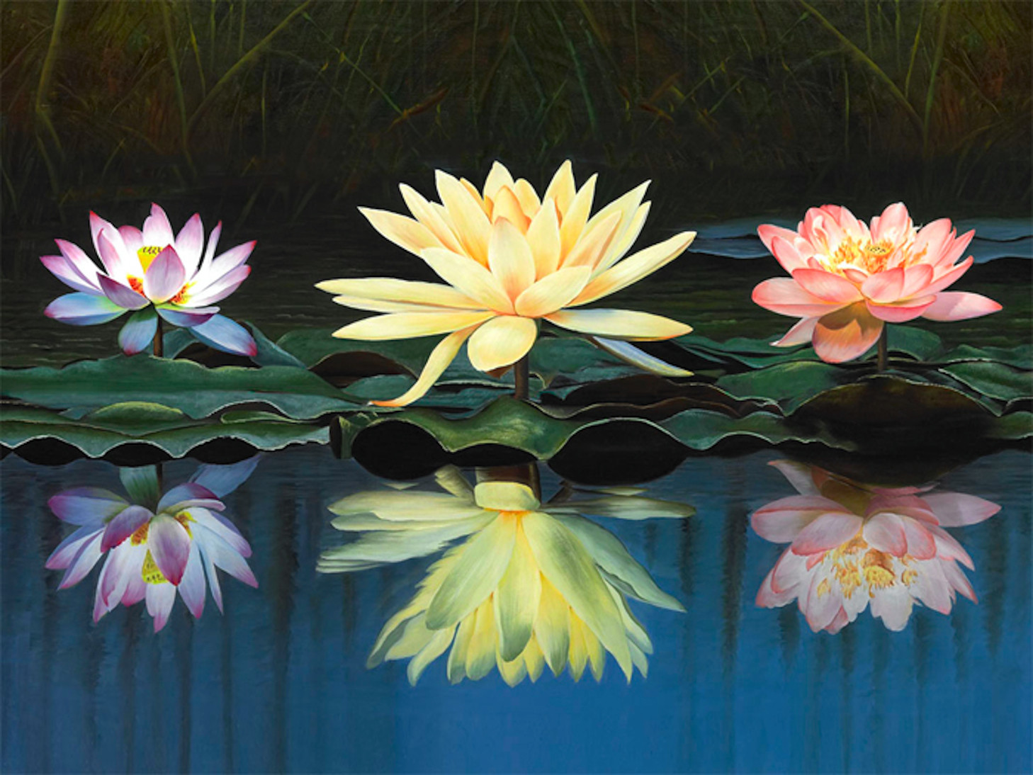 Triple Lotus Rectangle