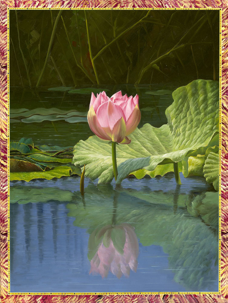 Pink Blossoming Lotus New Border