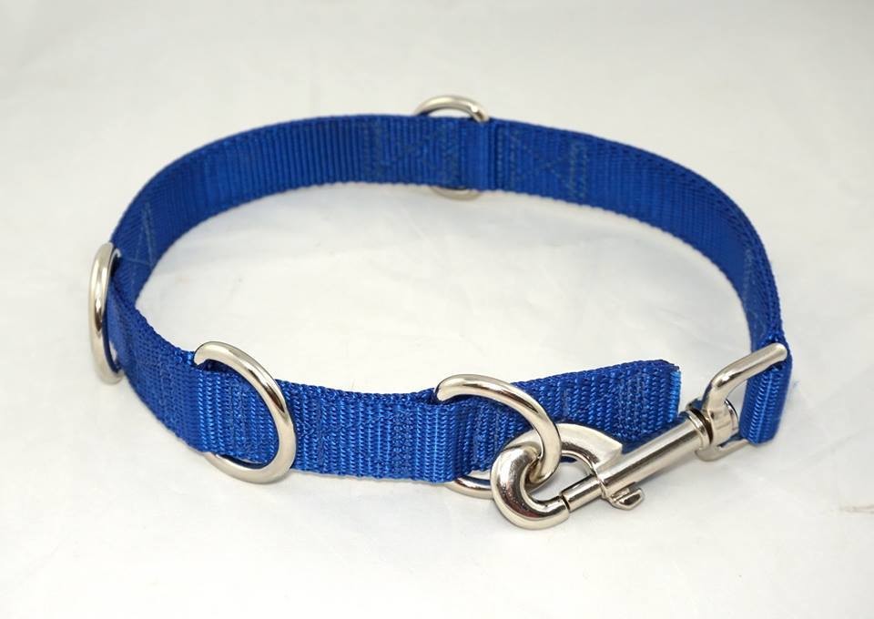 Grooming Collar XS-M Solid Colors