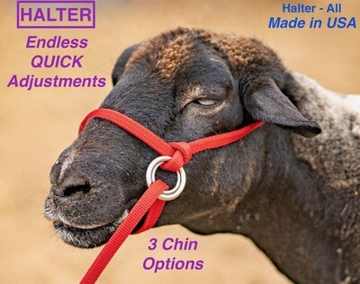 Halter-All™ Livestock Adjustable Halter/Lead Combo  XS-XL - Patterns (also reindeer, yak, camel)