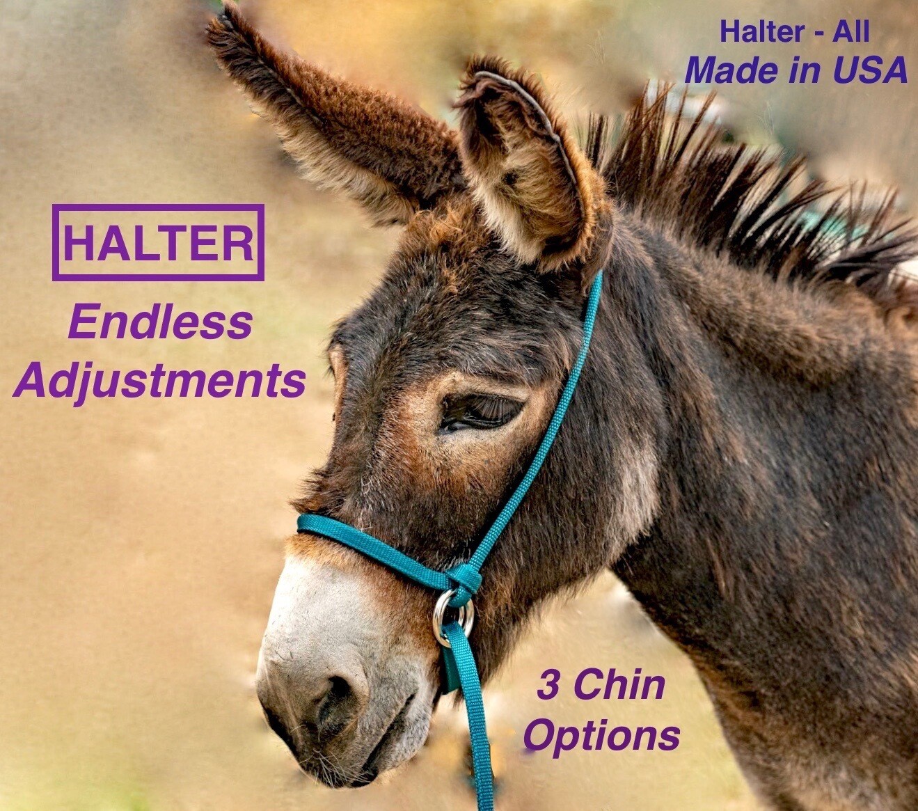Halter-All™ Donkey Mule Adjustable Halter/Lead Combo XS-XL Solid Color