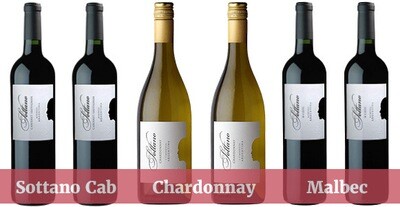 Sottano Mixed Wine Enjoyment Pack