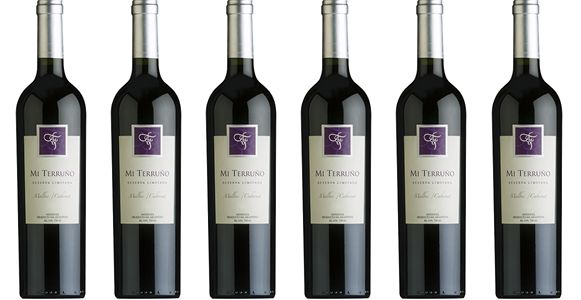 Mi Terruño Limited Reserve Malbec-Cabernet Sauvignon blend 2019