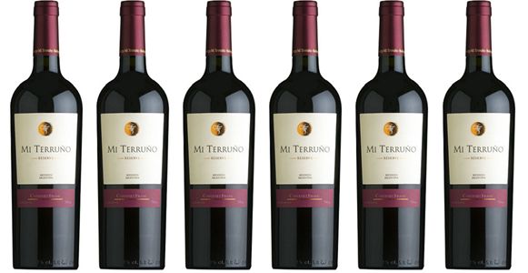Mi Terruño Reserve Cabernet Franc 2020