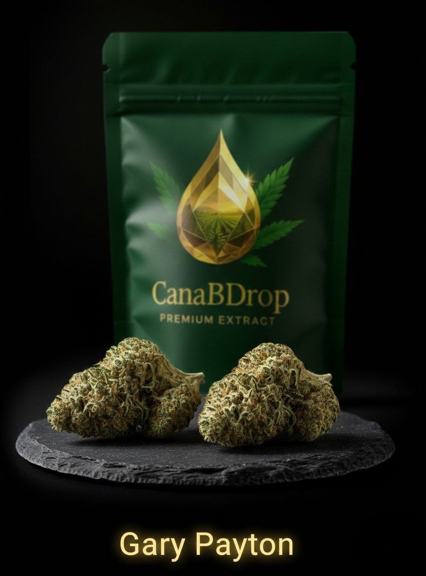 Gary PAYTON Revuelto 2.0 (THV N10 30%)