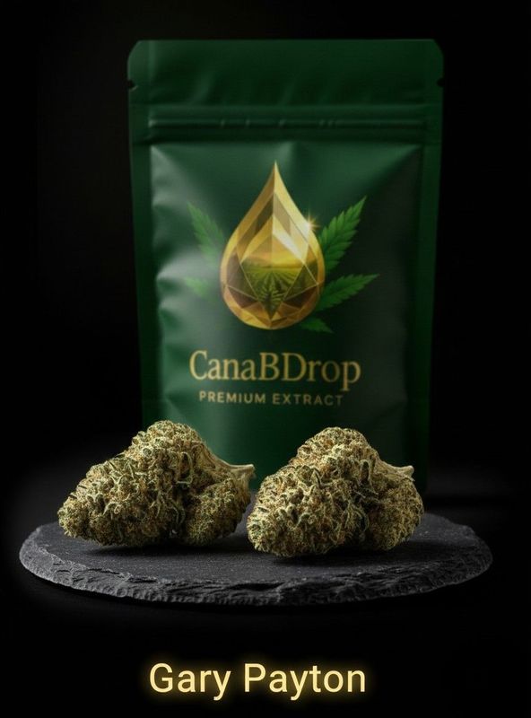 Gary PAYTON Revuelto 2.0 (THV N10 30%)