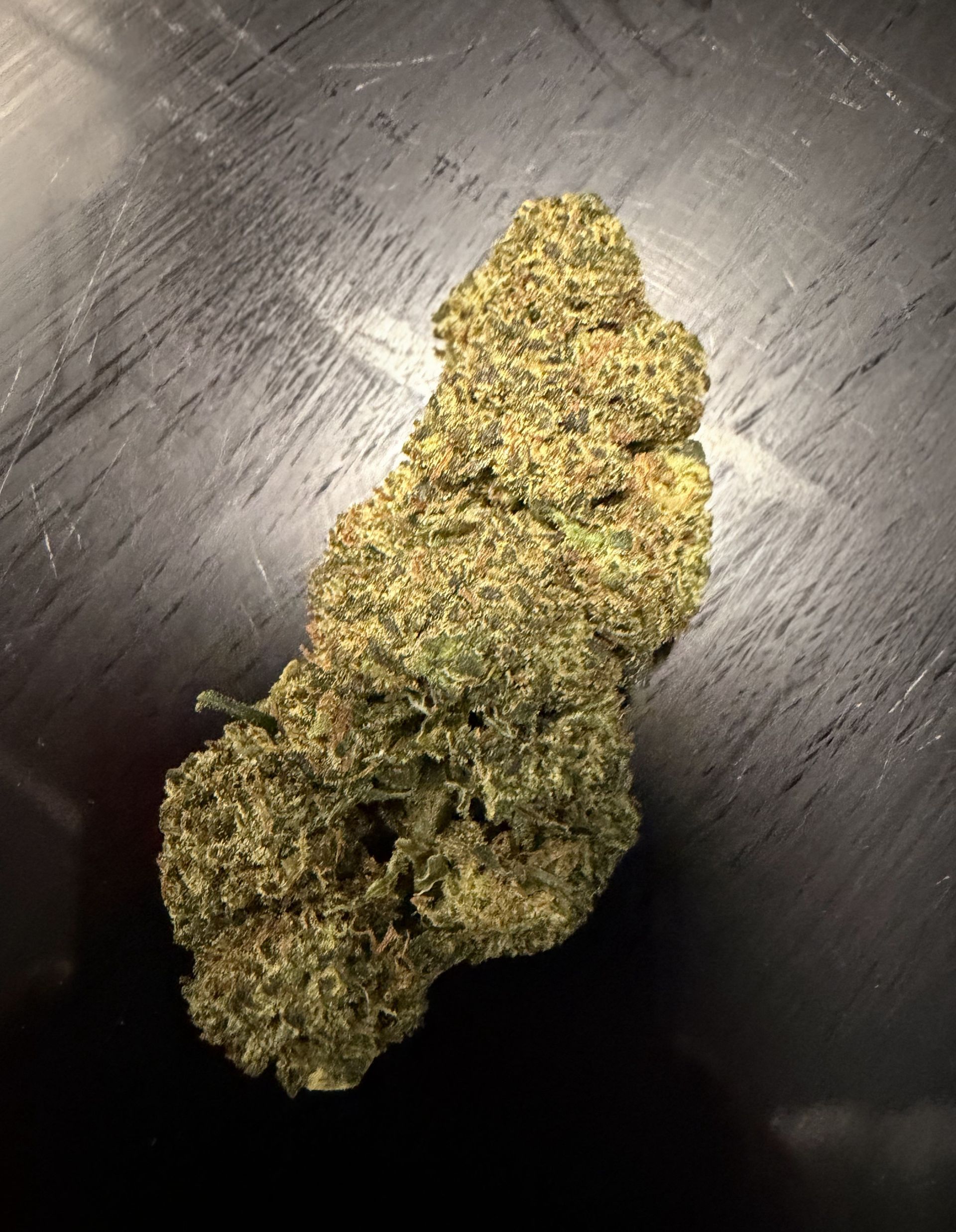 Gary PAYTON Revuelto 2.0 (THV N10 30%)