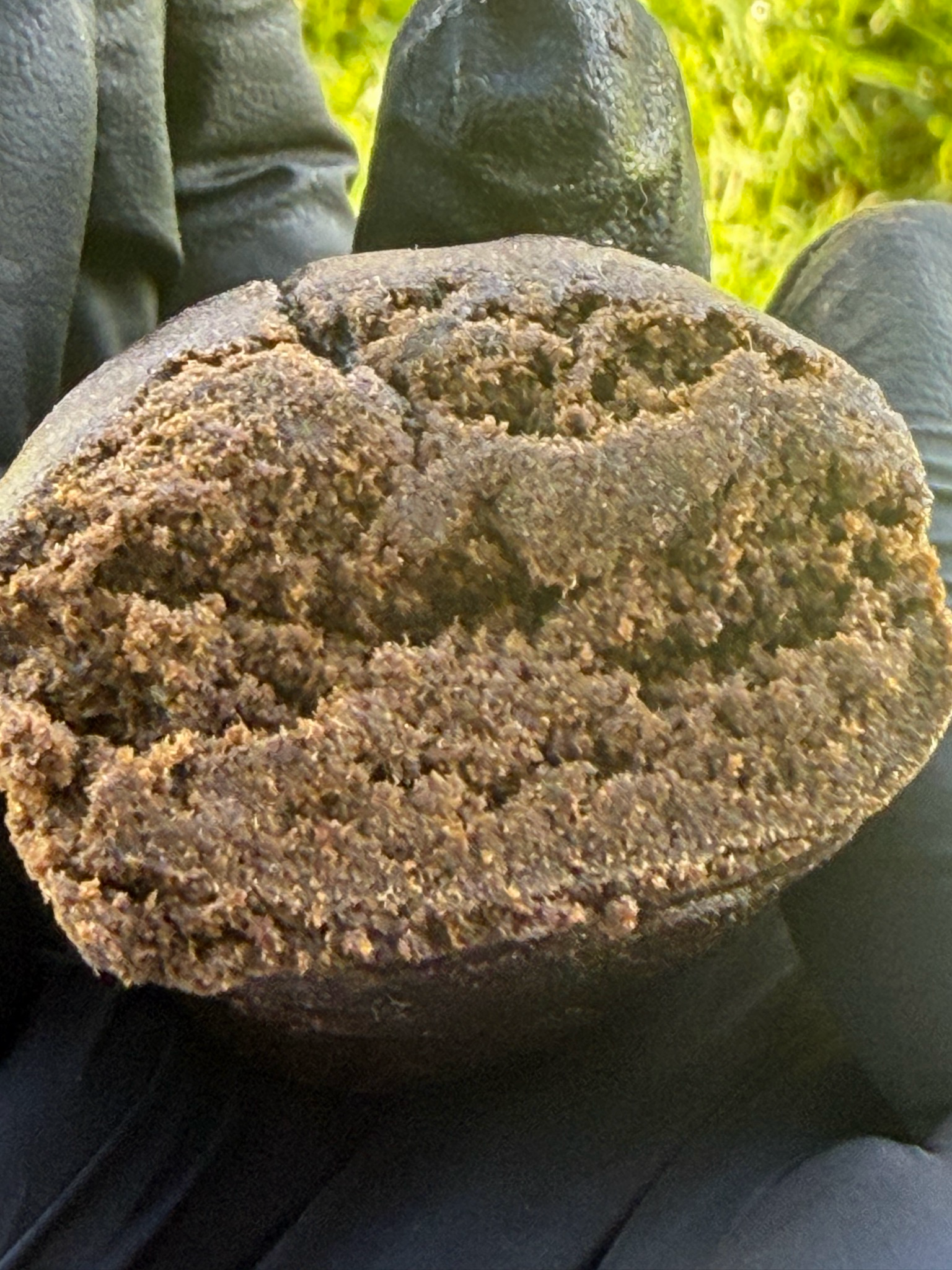 LE PAKI (THV N10 30%)