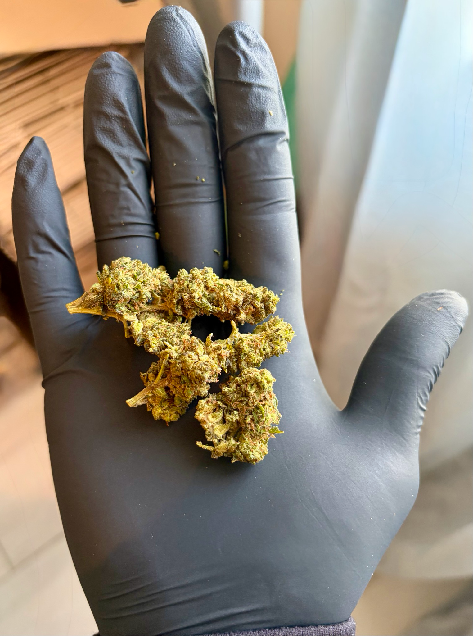 Amnesia Kush THV N10 