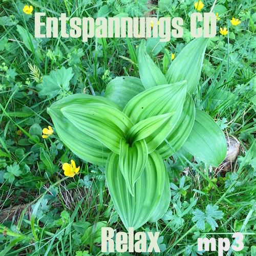 Relax Entspannungs-Achtsamkeitübung [Download]