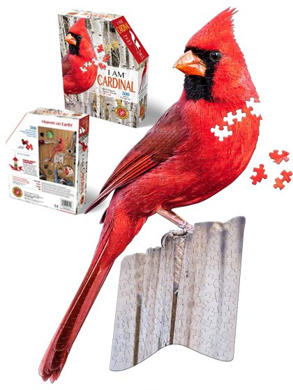 Jigsaw puzzle image of a cardinal perched on a branch with several pieces scattered around, below a photo of the puzzle box.