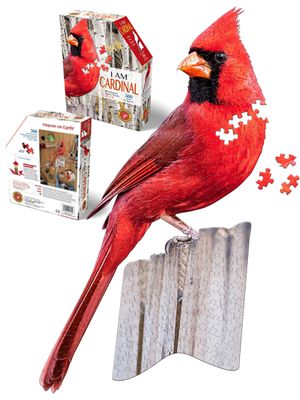 Jigsaw puzzle image of a cardinal perched on a branch with several pieces scattered around, below a photo of the puzzle box.