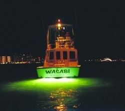 Shadow Caster Lights