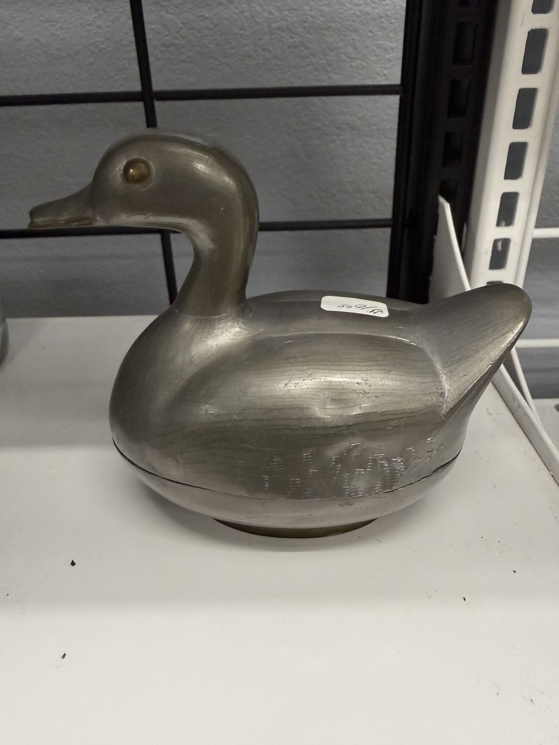 Silver Duck